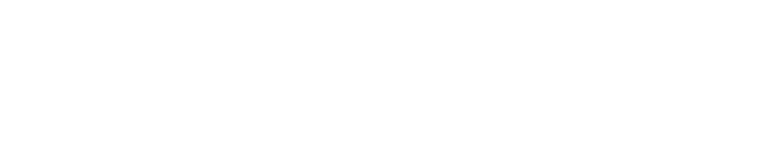 VidVision Logo